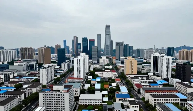 信息系统集成：信息技术性能与适用条件分析